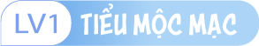 user level