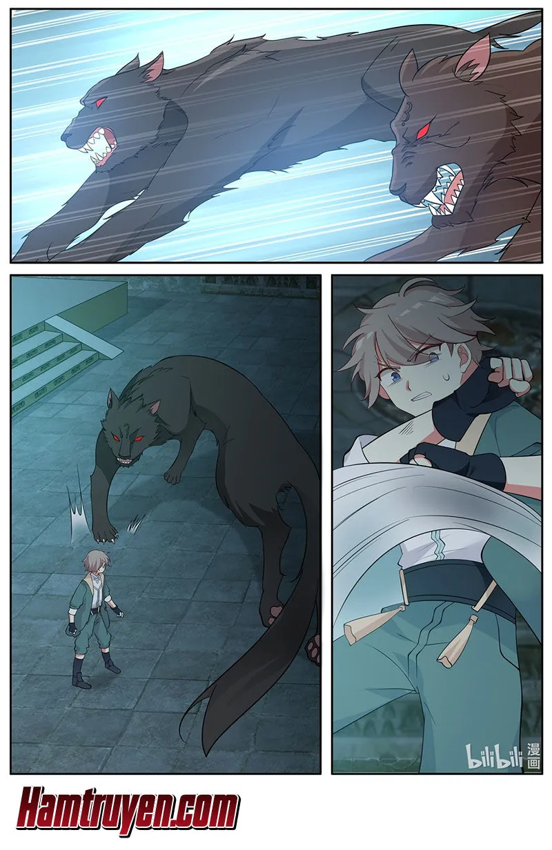 page-5